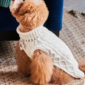 Nooee Pet Wool Cable Dog Sweater Demylee Anthropologie Merino Wool S Small